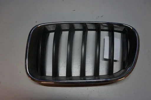 Bumper grille (Nier) origineel Bmw X3 F25