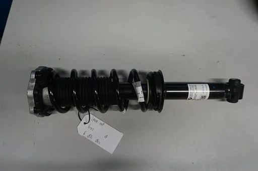 Origineel BMW X3 G01 X4 G02 veerpoot achter