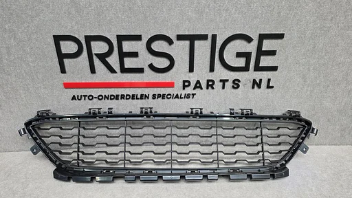 BMW Serie 1 F20 F21 LCI M PAKKET MIDDEN ROOSTER GRILLE COVER