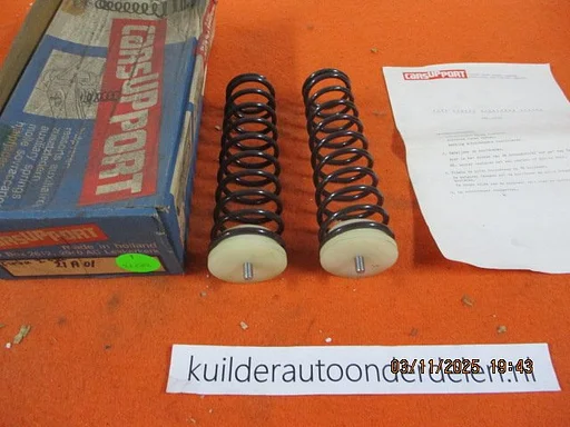Hulpveren set Ford Fiesta I en II  1976-1989 Carsupport 21C02