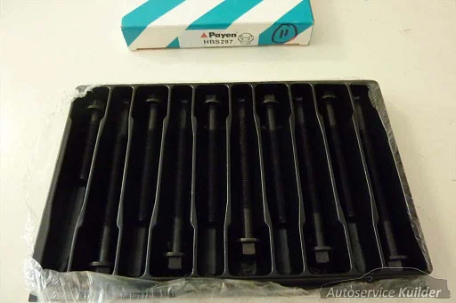 Cilinder kopbouten Fiat Panda Cinquecento Seicento Nieuw Payen,