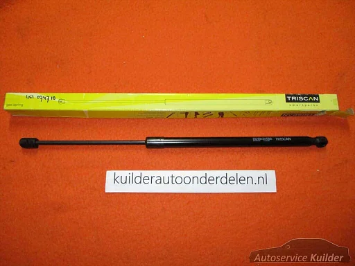 Gasveer Kofferklep Renault Scenic 2  TRISCAN Nieuw