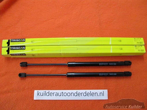 Gasveren kofferklep Renault megane 1  TRISCAN Nieuw