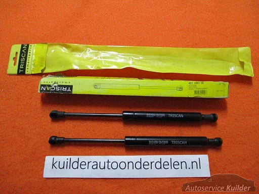 Set Gasveren Renault Megane sedan  TRISCAN Nieuw