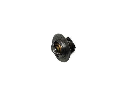 Volvo Thermostaat B4B+B16 PV444+PV544+Duett 80 gr C origineel Volvo 403994 Volvo onderdeel nr 273163