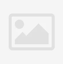 Volvo Remklauw Veerset Achter Volvo V70 - XC70 - S60 - S80 Volvo onderdeel nr 30648021
