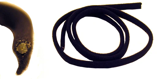 Volvo Rubber schuifdak 140+164+240+260 op plaat 98 cm Volvo onderdeel nr 1255335