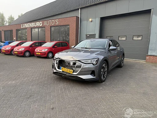 Audi e-tron 55 quattro edition 95 kWh Tetto Pano