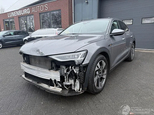 Audi e-tron 55 quattro edition 95 kWh Telhado de pano