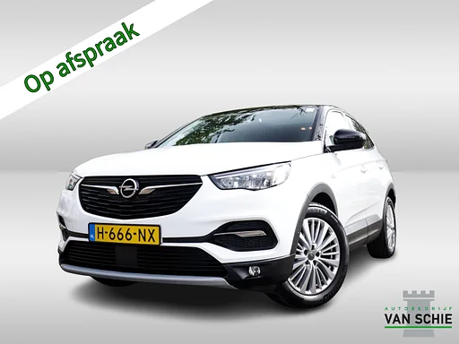 Opel Grandland X 1.2 Turbo Innovation 1e-Eig. & Dealer-Onderh. BOVAG-Garantie. NL-Auto.