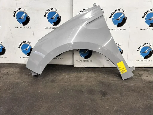 RENAULT CLIO MK5 B7 TECHNO VOORSCHERM L 2024