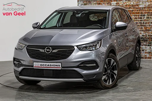 Opel Grandland X 1.6 Turbo Hybrid Elegance I Stoelverwaming I Achteruitrij câmera