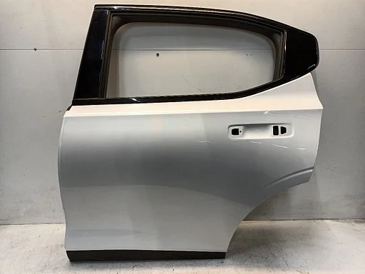 Portier links achter Polestar Polestar