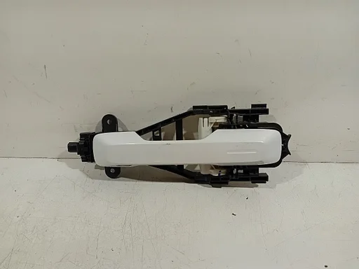 Portiergreep links achter Polestar Polestar