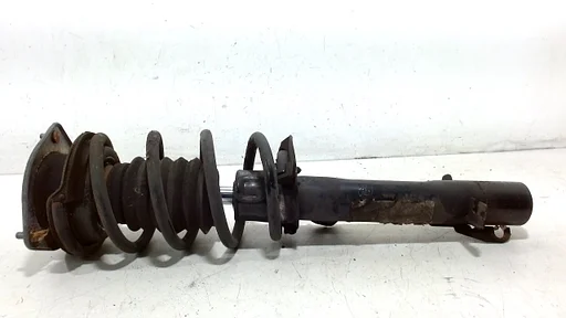 Veerpoot links voor Mini Countryman