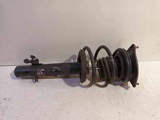 Veerpoot rechts voor Mini Mini