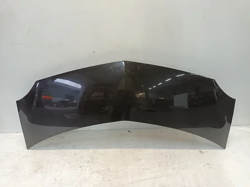 Motorkap Renault Modus