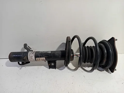 Veerpoot rechts voor Mini Mini