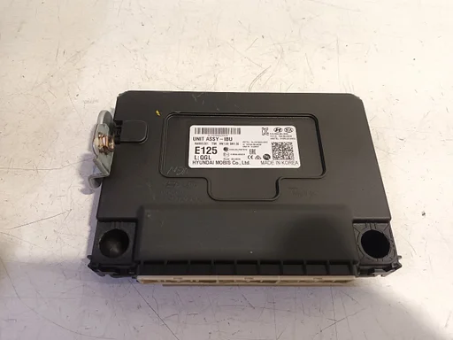 Computer diversen Hyundai Santa Fe