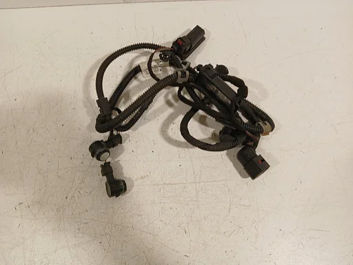 Parkeer hulp Volkswagen Golf