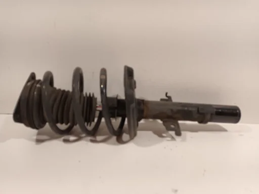 Veerpoot links voor Renault Scénic