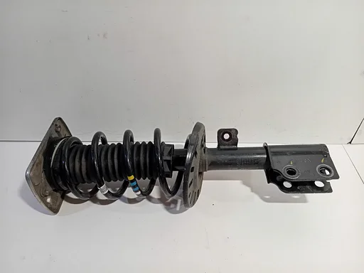 Veerpoot links voor Peugeot Expert