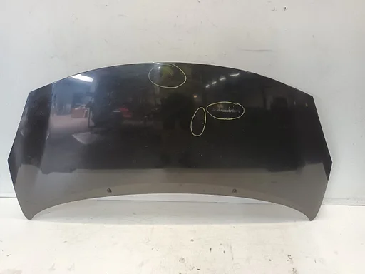 Motorkap Renault Wind