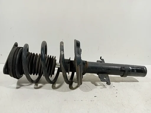 Veerpoot links voor Renault Grand Scénic