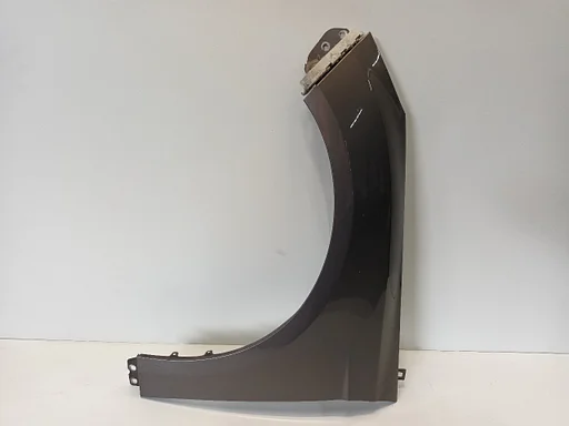 Voorscherm links Ford Focus