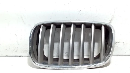 Grillerooster links BMW X5