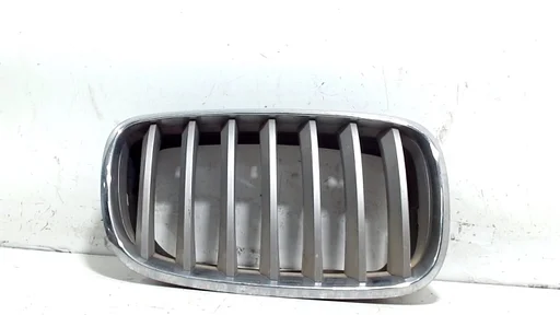 Grillerooster rechts BMW X5