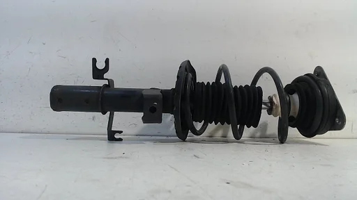 Veerpoot links voor Smart Forfour