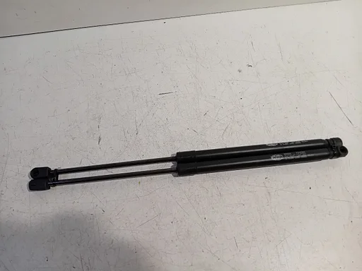 Gasdrukveerset achter Renault Mégane