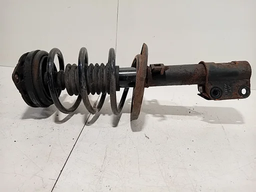 Veerpoot links voor Renault Mégane