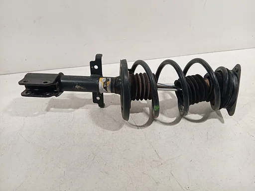 Veerpoot rechts voor Renault Zoé