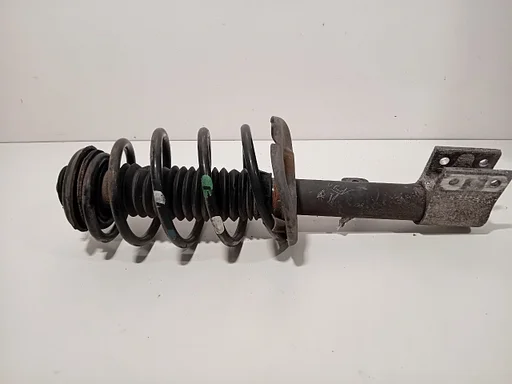 Veerpoot links voor Citroën C4