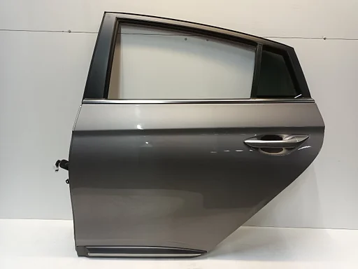 Portier links achter Hyundai Ioniq