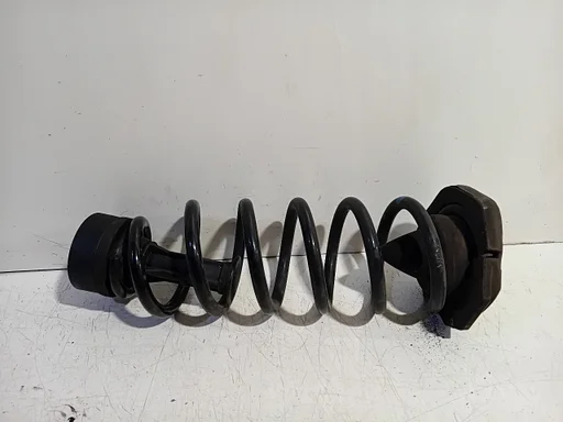 Schroefveer links achter Renault Kadjar