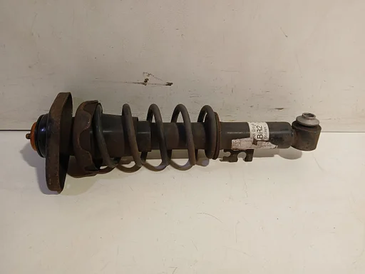 Veerpoot rechts achter Mini Mini