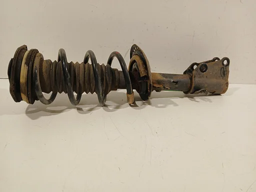 Veerpoot links voor Renault Kangoo