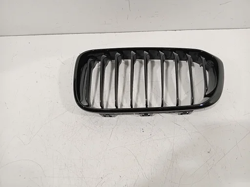 Grillerooster links BMW 1 serie