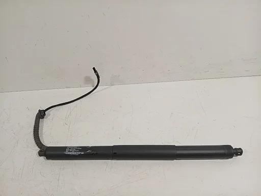 Gasdrukveer links achter BMW X5