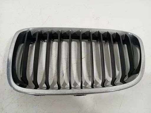 Grillerooster links BMW 1 serie