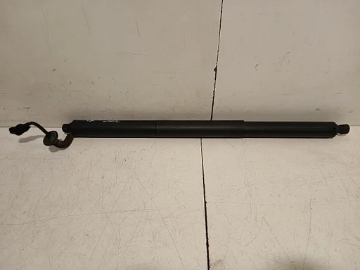 Gasdrukveer links achter BMW X1