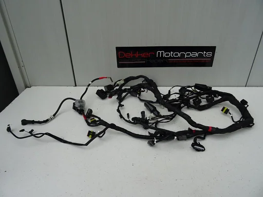 Complete Kabelboom / Wiring Harness Ducati Diavel 2011-2012