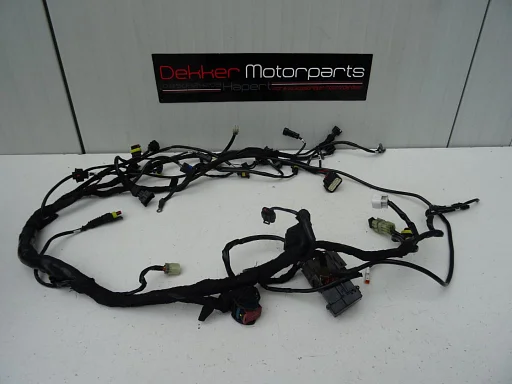 Kabelboom / Wire Harness Ducati Streetfighter 1098 / S 2009