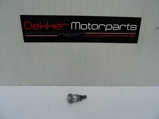 Nokkenas Kettingspanner Yamaha YZF R1 2007-2008 RN19