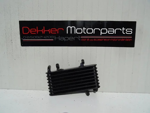 OIie Koeler / Oliekoeler Aprilia RST1000 Futura 2001-2002 >