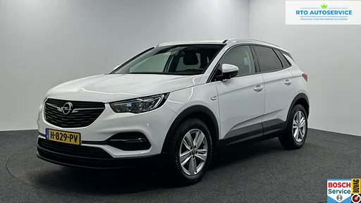 Opel Grandland X 1.2 Turbo Business Edition CARPLAY macchina fotografica ECC LM NAVIGATIE.